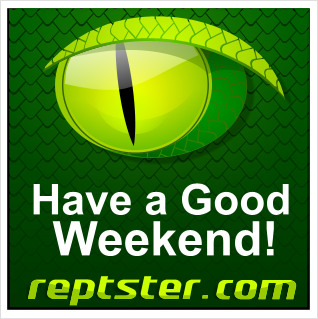 Reptster says, Have a Good Weekend!
